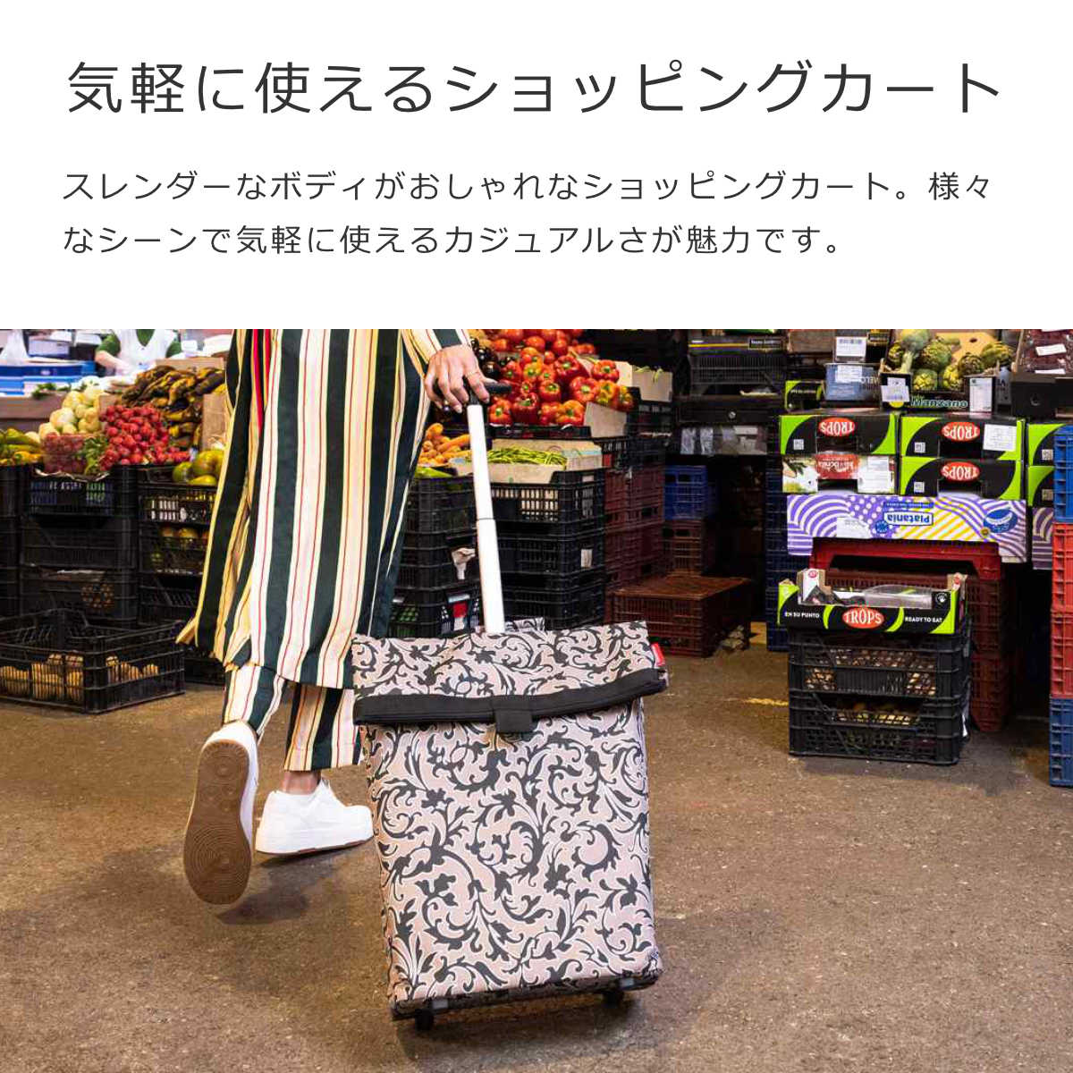 トローリー M(TROLLEYM)