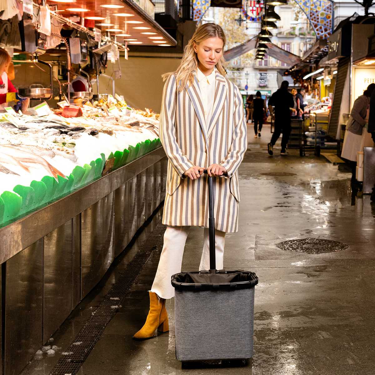 キャリークルーザーフレーム(CARRYCRUISERFRAME)