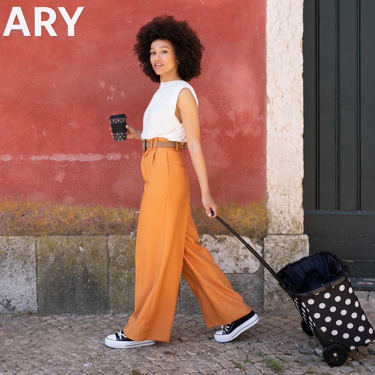 キャリークルーザーフレーム(CARRYCRUISERFRAME)