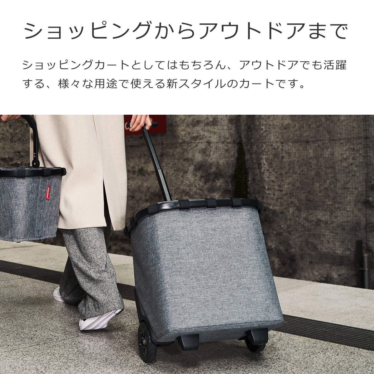 キャリークルーザーフレーム(CARRYCRUISERFRAME)