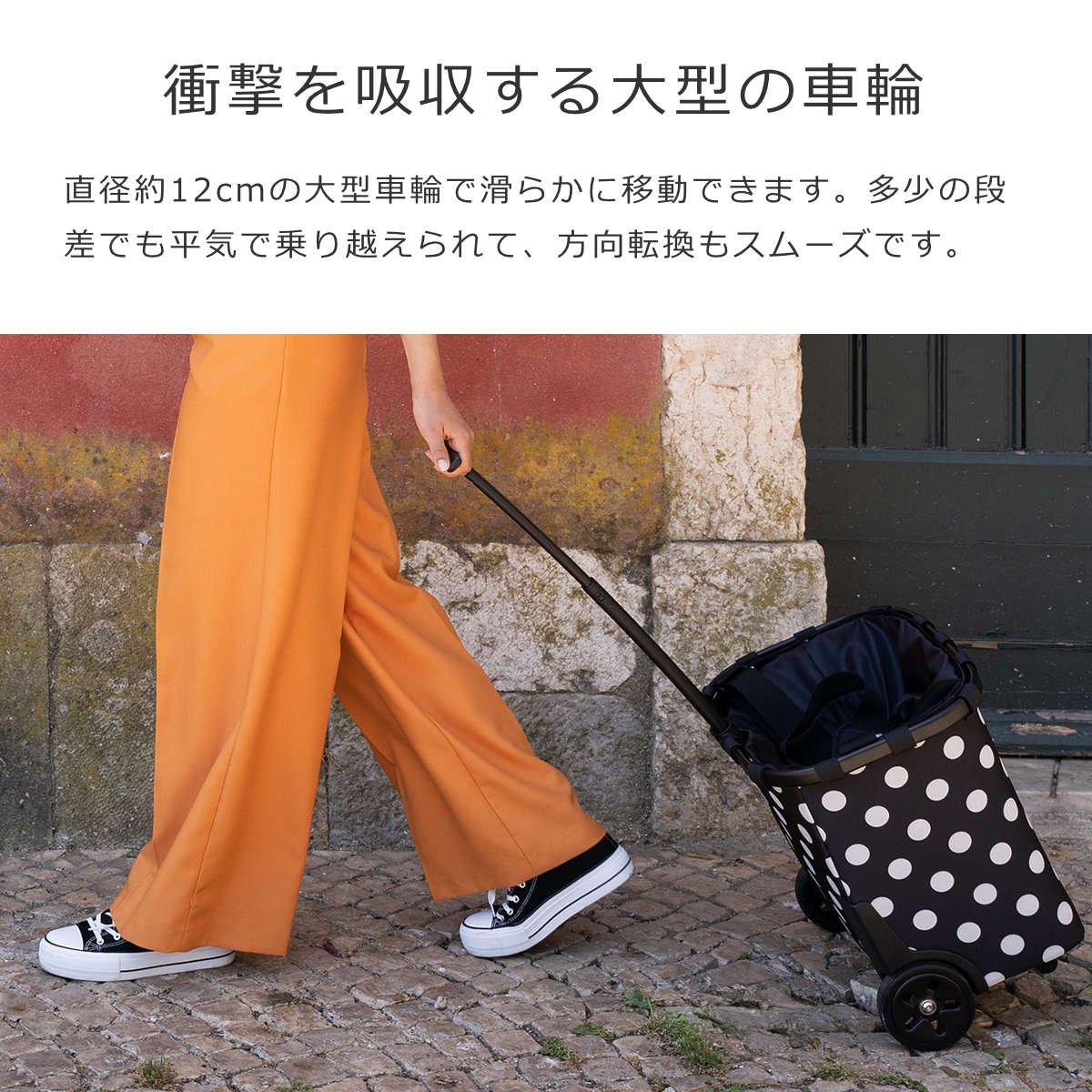 キャリークルーザーフレーム(CARRYCRUISERFRAME)