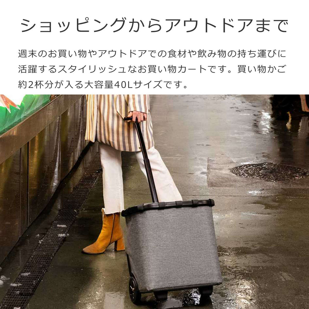 キャリークルーザーフレーム(CARRYCRUISERFRAME)