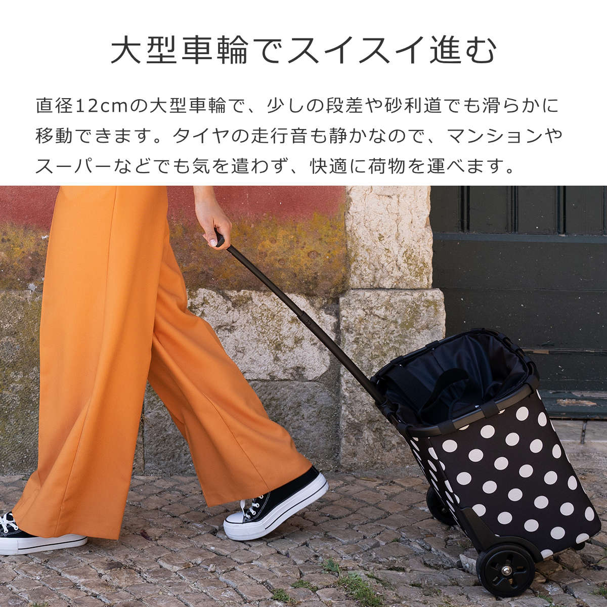 キャリークルーザーフレーム(CARRYCRUISERFRAME)