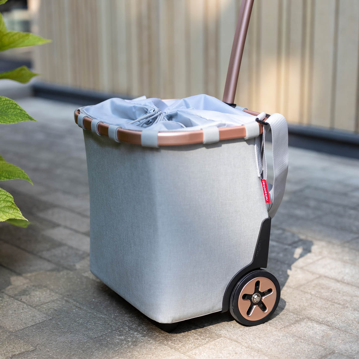 キャリークルーザーフレーム(CARRYCRUISERFRAME)