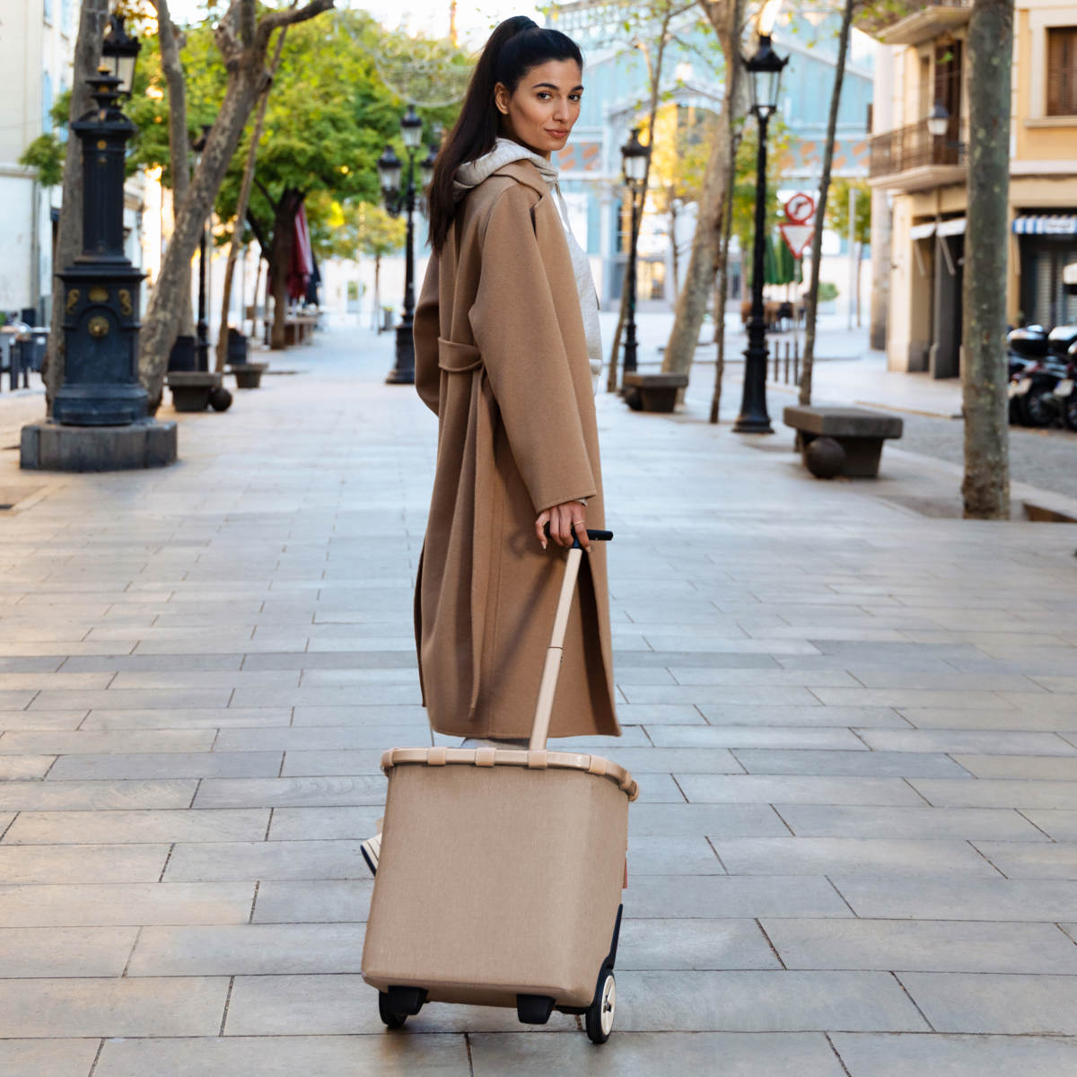 キャリークルーザーフレーム(CARRYCRUISERFRAME)