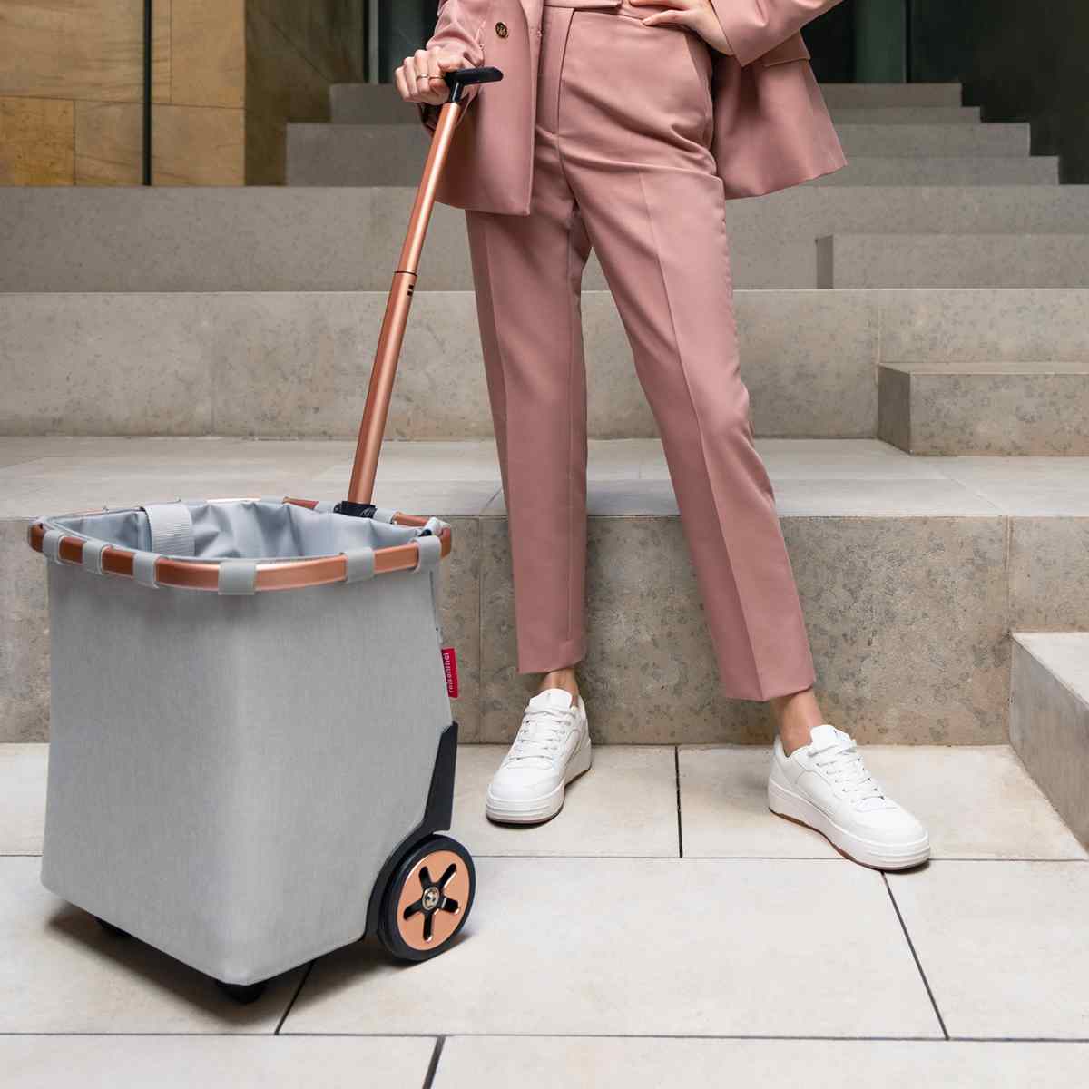 キャリークルーザーフレーム(CARRYCRUISERFRAME)