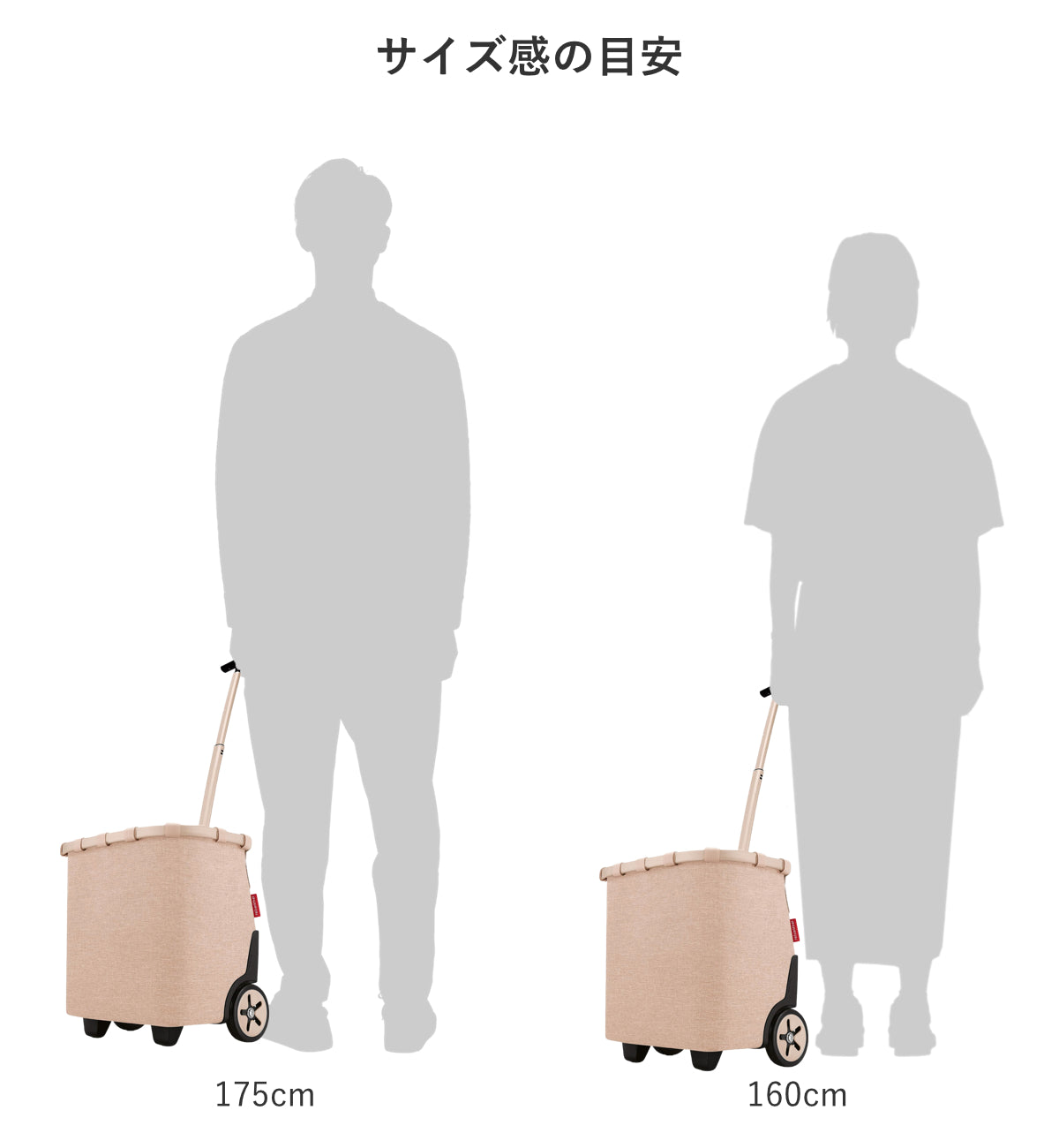 キャリークルーザーフレーム(CARRYCRUISERFRAME)
