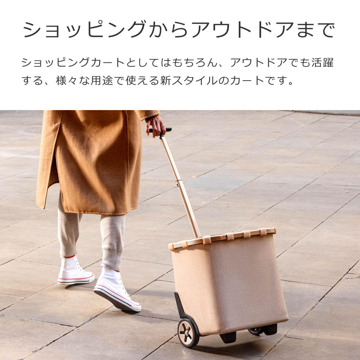 キャリークルーザーフレーム(CARRYCRUISERFRAME)