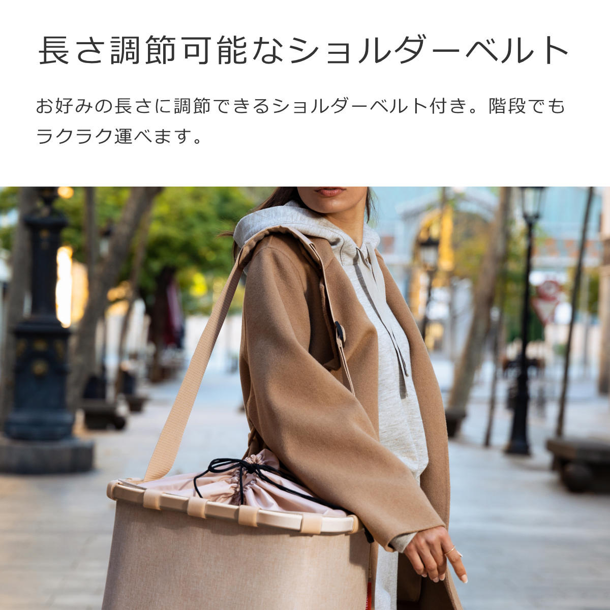 キャリークルーザーフレーム(CARRYCRUISERFRAME)