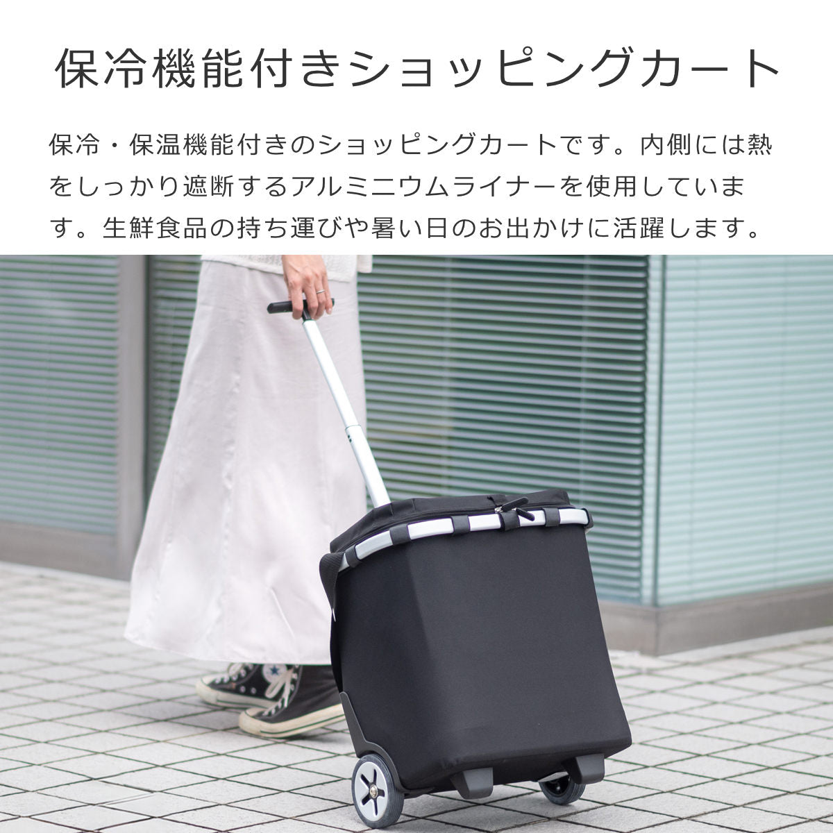 キャリークルーザーISO(CARRYCRUISERISO)