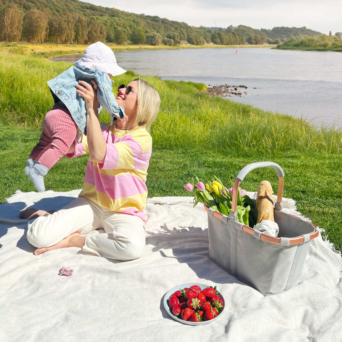 キャリーバッグフレーム(CARRYBAGFRAME)