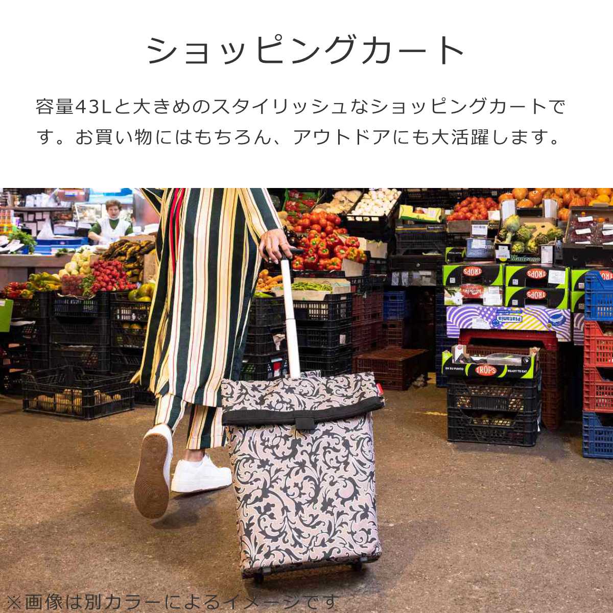 トローリーM フレームドットホワイト(TROLLEYMFRAMEDOTSWHITE)