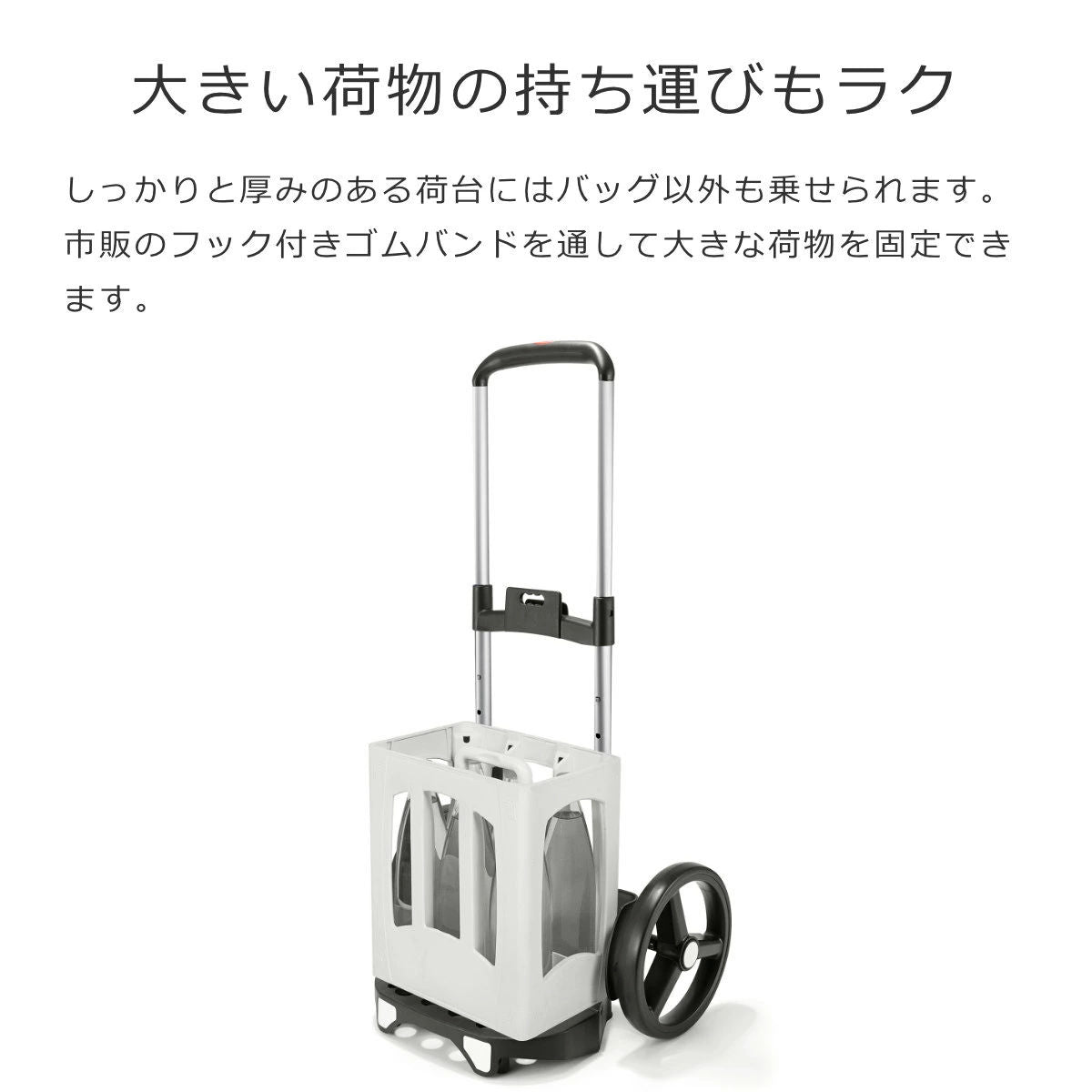 シティクルーザー(CITYCRUISER)