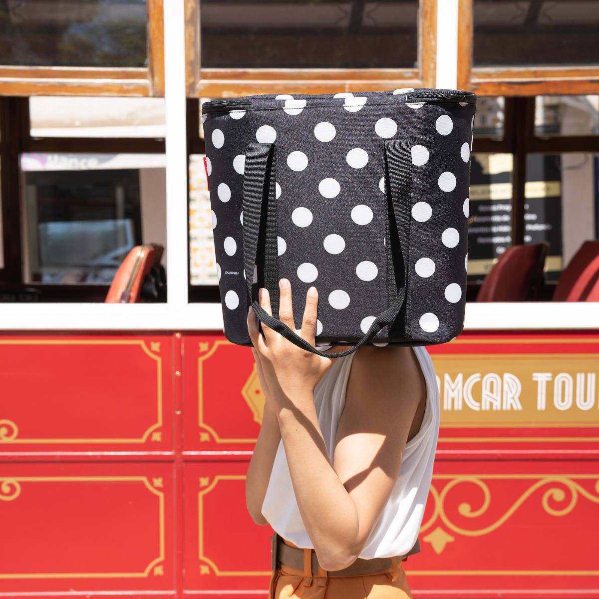 サーモショッパー(THERMOSHOPPER)