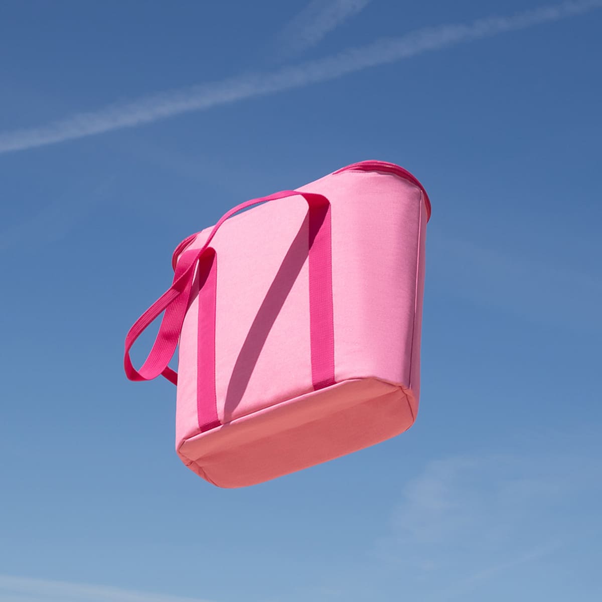 サーモショッパー15L(THERMOSHOPPER)