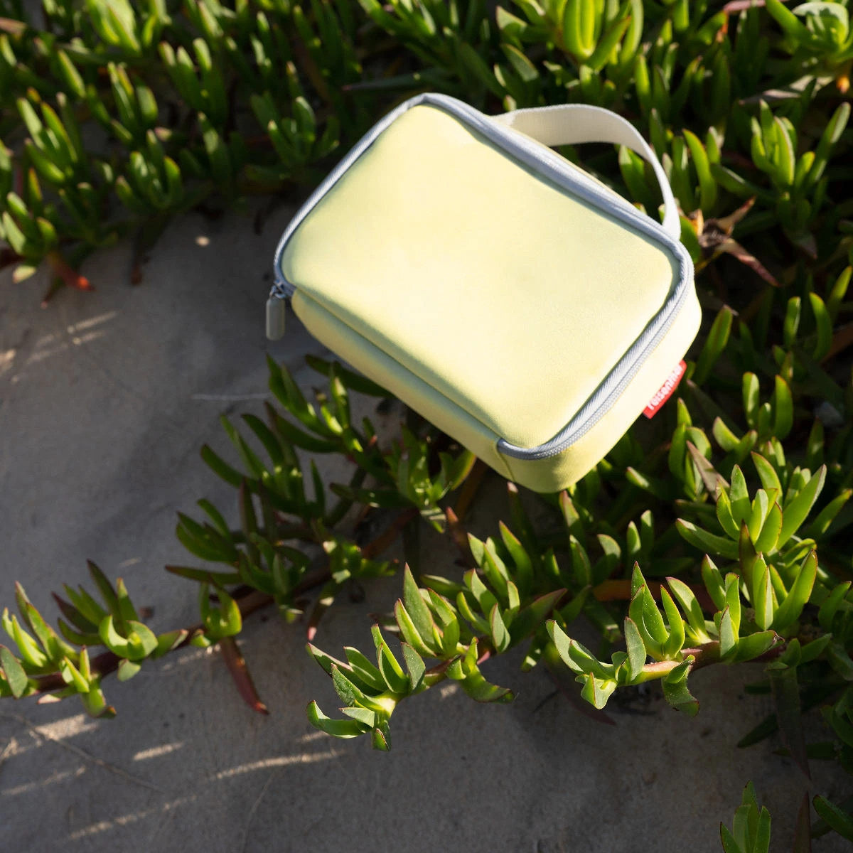 サーモケース1.5L(THERMOCASE)