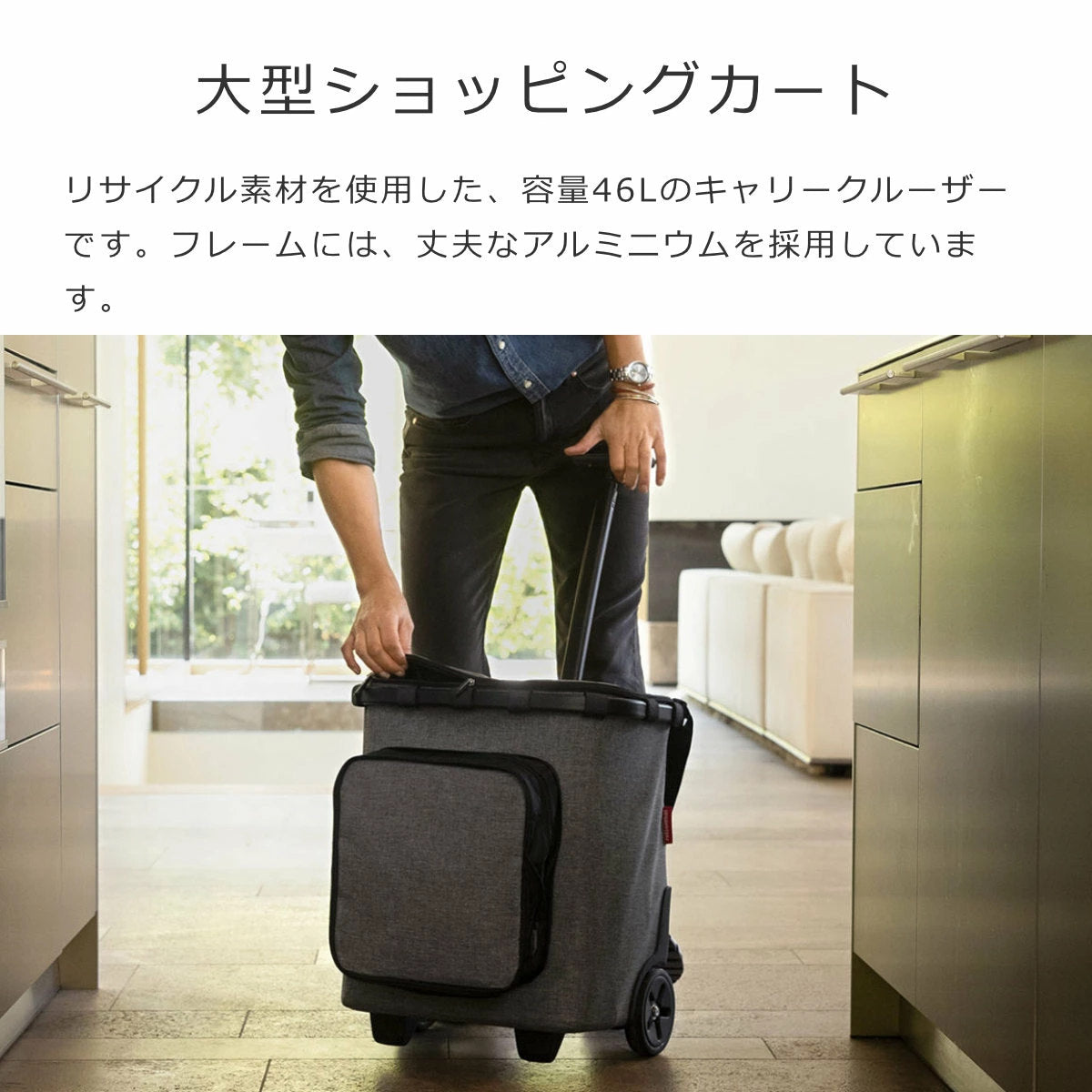 キャリークルーザープラスフレーム(CARRYCRUISERPLUSFRAME)