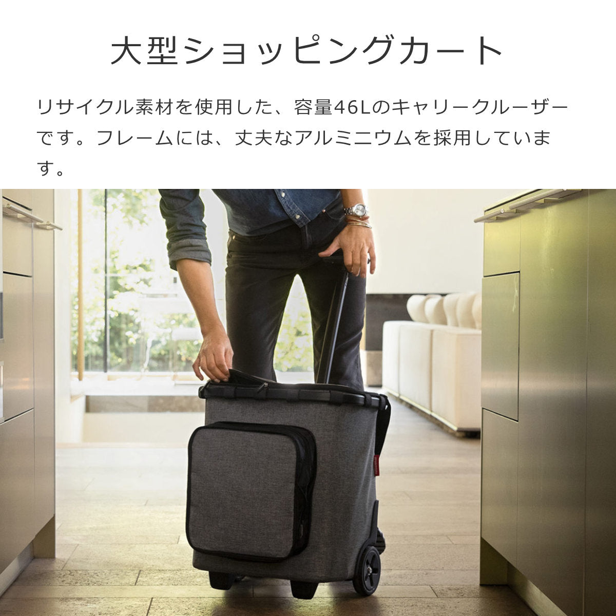 キャリークルーザー プラス フレーム(CARRYCRUISERPLUSFRAME)