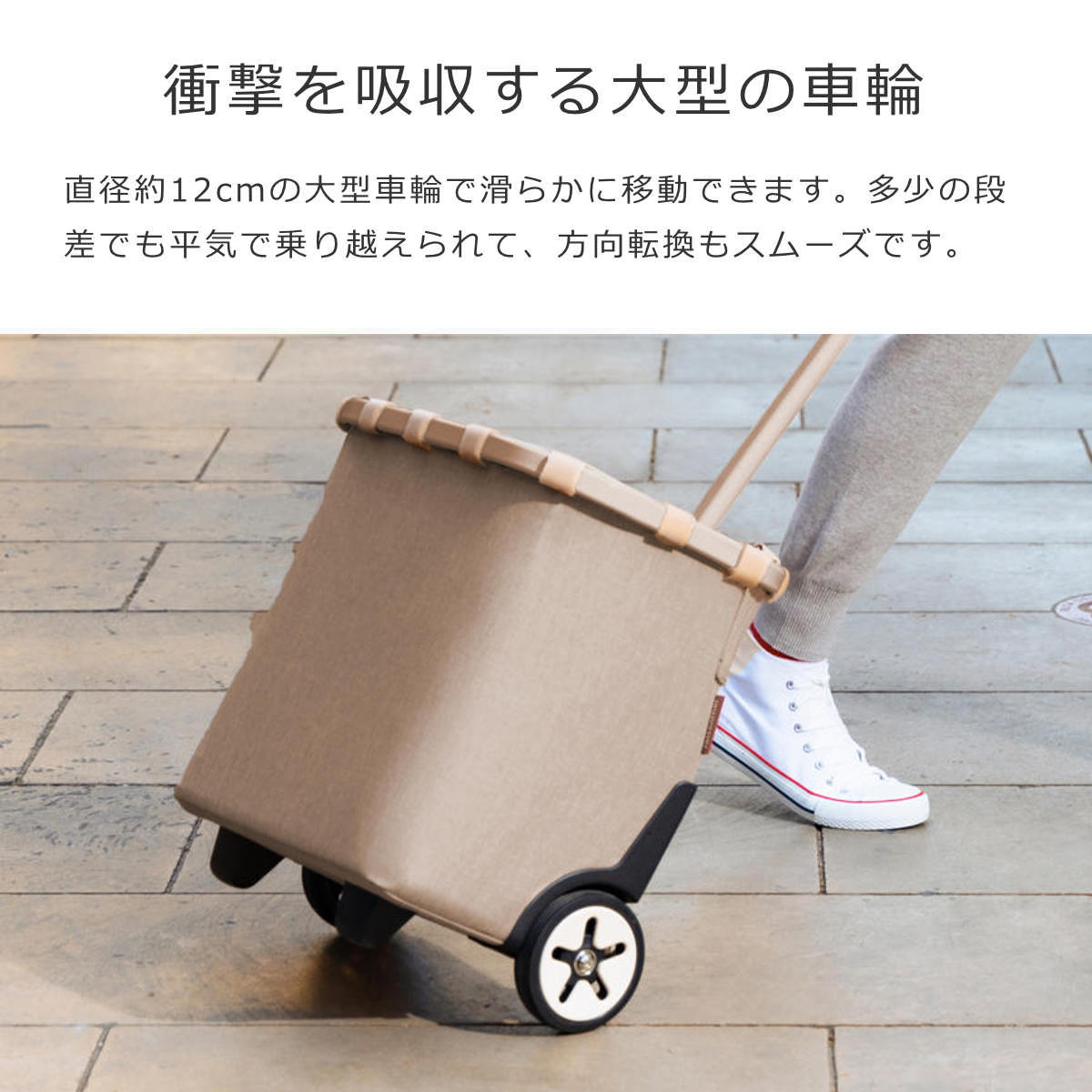 キャリークルーザーフレーム（CARRYCRUISERFRAME）