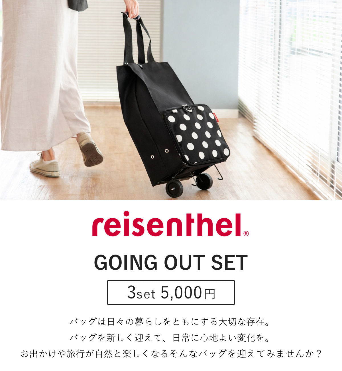 ショッピングカート お出かけ3点セット （FOLDABLE TROLLEY）